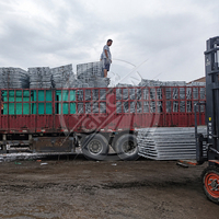 Nouvelle cage de mise bas en acier galvanisé à chaud de type H, protection anti-écrasement pour porcelets, enclos de mise bas pour truies, facile à utiliser pour usage commercial