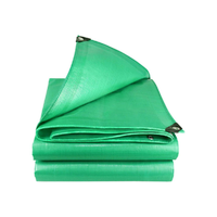 Bâches vertes enduites de HDPE durables enveloppant le tissu de bâche en plastique de bâche de bâche de PE imperméable