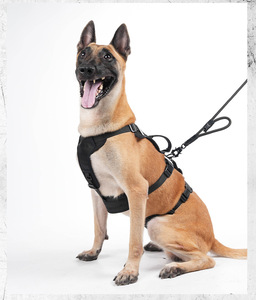 Harnais pour chien détachable à trois étapes avec sangle en H réglable - Product Image 3