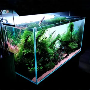 Design exclusivo personalizado aquário luz led aquário rgb mini aquário aquário aquário luz aquário