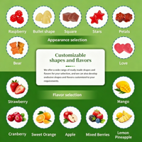 Gemengde Tropische Fruit Perzik Citroen Coq10 Gummies
