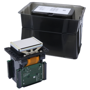 Tête D'impression Neuve Epson DX7 Débloquée – F189010 – Qualité Pro – Garantie 1 Mois
