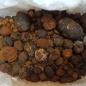 Cápsulas de cálculos bezoares de ganado de alta calidad para cosméticos, salud de la vejiga intestinal, suministro al por mayor, el mejor <span class=keywords><strong>precio</strong></span> de mercado - Product Image 2