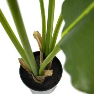 90cm madagascariensis 6 feuilles Palmier du voyageur en plastique Plantes inodore Décor de jardin Bonsaï artificiel Strelitzia Ravenala