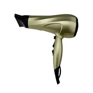 Household Professional DC motor Salon Hair Styler Commercial Ionic Hair Dryer with Concentrator Diffuser