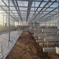 Système de Culture en Serre pour Fraises, Systèmes Hydroponiques de Serre à Faible Coût VERTIC TOMATO