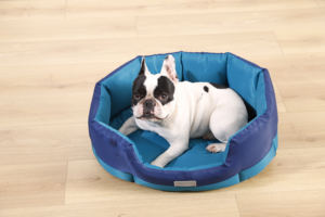 Cama para Mascotas Grande de Lujo, Lavable, Desmontable, de Felpa Suave, para Perros y Gatos, Marca Petstar - Product Image 4