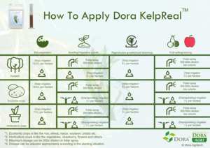 Maíz maíz <span class=keywords><strong>trigo</strong></span> arroz patata frijol guisante pulverización <span class=keywords><strong>foliar</strong></span> Extracto de algas fertilizante líquido <span class=keywords><strong>para</strong></span> aumentar el rendimiento - Product Image 4