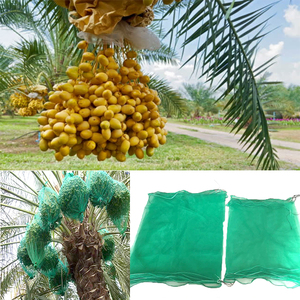 80*100 bao bì ngày Palm <span class=keywords><strong>Net</strong></span> túi cho rau/<span class=keywords><strong>HDPE</strong></span> Monofilament ngày lưới túi cho cây cọ - Product Image 5