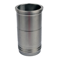 Doublure de cylindre adaptée aux camions lourds RENAULT DTI13 DXi13-440 TAD1360 OEM 5001856169 021WN23 209WN21 D5010224003 21367718 76mm