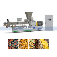 Ontbijtgranen Maken Voedselverwerkende Lijn Extruder Machine Voor Rijst Knapperige Ballen Fruit Groente Granen