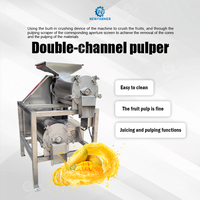 Machine d'extraction de pulpe de fruits à double canal, machine de séparation du jus et de la pulpe, homogénéisateur pour jus avec pulpe