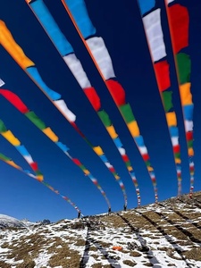 Variedad Longitud Lote Tíbet Viaje Cruz Colgando Banderas de oración <span class=keywords><strong>Bandera</strong></span> de cinco colores - Product Image 5