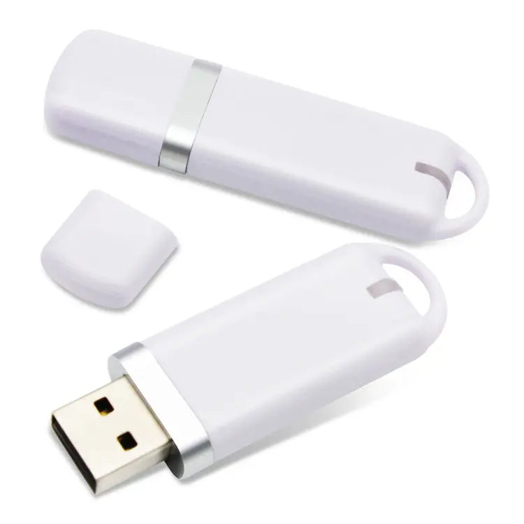 빠른 배송 저렴한 USB 프로모션 선물 미니 플라스틱 USB 플래시 드라이브 좋은 품질 8 기가바이트 USB 스틱