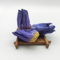 Lan Lian Hua, fleur de lotus bleue séchée de haute qualité, best-seller, herbe de lotus bleue, thé de lotus bleue