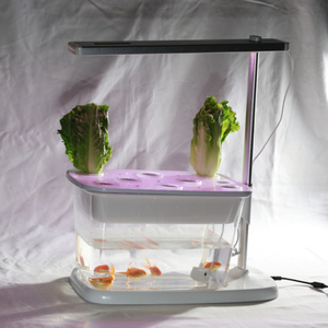 Mini đất nông nghiệp Rau Fish Tank aquaponc hệ thống phát triển đèn nhỏ sinh thái hydroponics thực vật phát triển đèn hệ sinh thái - Product Image 3