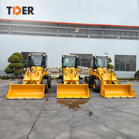Chargeuse sur pneus compacte TDER de 1,5 tonne (1,5t) avec moteur YUNNEI, fabriquée en Chine