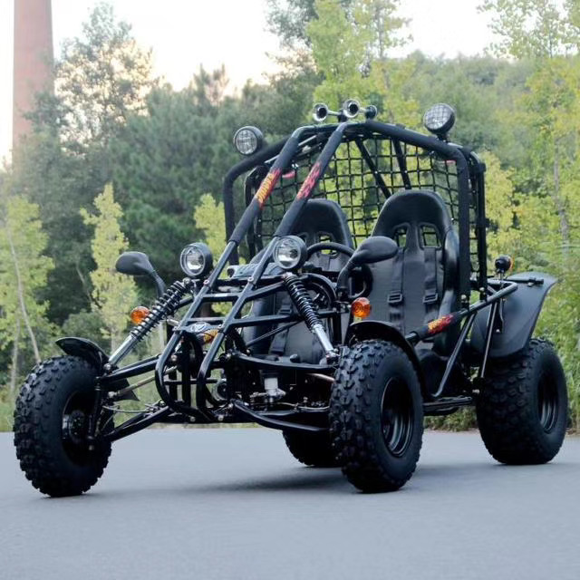 Dünen buggy | 2-Sitzer Go Kart 200cc/150cc für Erwachsene