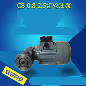 ปั๊มลดความเร็วแบบโรเตอร์ ZCB รุ่นพิเศษ ZCB-B0.8 1.2 .5 4 6 10 CB - 1.2/0.8 / อุปกรณ์มอเตอร์ 1 Bb - Product Image 4