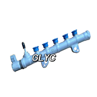 Diesel Fuel Common Rail Assy 23810-0E020 095600-6860 23810-11040 Common Rail Tube Assembly for Denso Toyota HILUX 1GD 2GD Engine