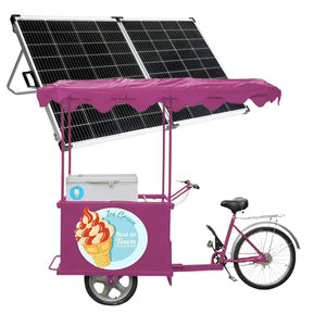 Tricycle électrique à trois roues avec congélateur solaire, chariot alimentaire, chariot à café, chariot à jus, chariot à glace, vélo de <span class=keywords><strong>promotion</strong></span> avec panneau solaire, batterie gel - Product Image 1