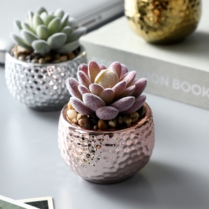 Mini <span class=keywords><strong>Piante</strong></span> <span class=keywords><strong>Grasse</strong></span> Artificiali <span class=keywords><strong>in</strong></span> <span class=keywords><strong>Vaso</strong></span> per Decorazione Ufficio Casa <span class=keywords><strong>Giardino</strong></span> Bonsai - Product Image 3