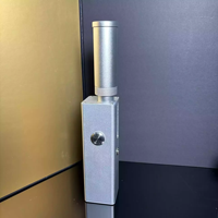 Allumeur laser invisible portatif 975 nm 130 W 20 m pour feux d'artifice, allumage d'urgence en extérieur