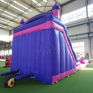 WINSUN Giant Inflatable Water Slide Purple Pink PVC Waterproof CE Commercial Grade for Kids Party Amusement Park - Product Image 3