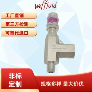 Válvula de Seguridad Weffluid de 1000 Bar, Roscada y Ajustable, para Sistemas de Alta Presión - Product Image 5
