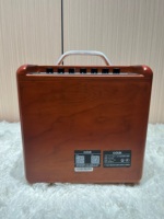 Altavoz de Karaoke para el hogar con Bluetooth, sistema de megafonía portátil con entrada de micrófono para cantar, entretenimiento y fiestas pequeñas