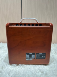 Loa karaoke gia đình với <span class=keywords><strong>Bluetooth</strong></span>, hệ thống PA di động với đầu vào micrô để hát, giải trí và các bữa tiệc nhỏ - Product Image 4