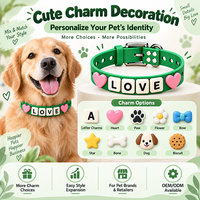 Collier pour animaux de compagnie en silicone personnalisé, collier pour chien personnalisé, accessoires mignons pour animaux de compagnie, vente en gros, fabricant OEM ODM pour les marques d'articles pour animaux