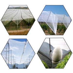 Yemen nóng bán 40gsm-55gsm PE + UV nhựa chống Hail Net - Product Image 6