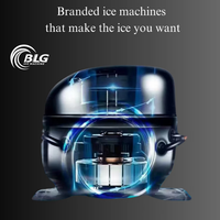Máquina de Hielo en Cubos, Máquina de Hielo Gourmet, Máquina de Hielo de 300 kg, Máquina de Hielo en Cubos BLG