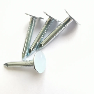 Clous à tête large galvanisés de 1-1/4 pouce pour toiture - Product Image 6