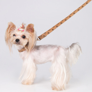 Collare Classico Regolabile per Cani con Lente d'Ingrandimento e Funzione Anti-Soffocamento, Design Floreale, Guinzaglio Resistente all'Usura per Passeggiate con il Cane - Product Image 4
