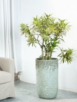 Pot de fleurs en ciment rétro style ferme avec design créatif de grand diamètre pour salon et balcon intérieurs