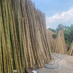 Estacas de Bambú para Jardín, Soporte para Plantas Trepadoras, 1.6-1.8cm de Diámetro X 50-250cm de Longitud, para Decoración de Camas de Jardín y Protección Solar - Product Image 1