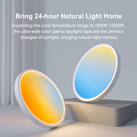 Nouveau panneau de plafond à spectre complet Ra98 Sky Smart WiFi BT commande vocale Alexa Google Assistant Compatible panneau lumineux LED