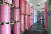 Meilleure qualité A4 couleur copie papier 70GSM 75GSM 80GSM copieur papier imprimante OEM ODM bleu rouge