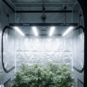 LUCIUS BLACK LABEL Lámpara LED de espectro completo regulable de 400W con cuerpo de aluminio para cultivo interior de plantas frutales - Product Image 2