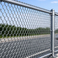 Elektrisch hoogbeveiligd roestvrijstalen erfhek ranch gegalvaniseerd PVC gecoat kettingmat diamantgaas Australië 6 voet