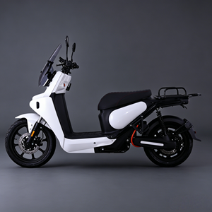 High Performance Motorcycle 3000W Motor Power Lithium Battery Scooter Load 150kg for Road Travel - Product Image 1