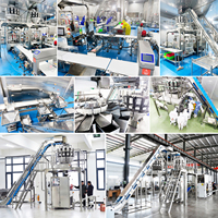 Automatische VFFS-verpakkingsmachine voor diepvriesfruit, -groenten en -bessen