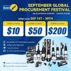 Piezas de suspensión neumática para coche Boashutein, amortiguador trasero delantero para BMW Audi Porsche Land Rover Jaguar Guest mercedes-benz - Product Image 2