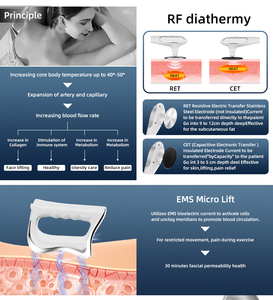 Home Use Popular Tecar Therapy 448k Raddio Frequency Pet Physiotherapy Cellulite Reduction Weight Loss Body Shape Slim Machine - Product Image 2