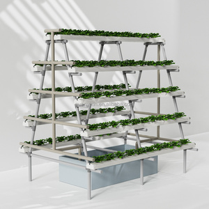 Sistema <span class=keywords><strong>de</strong></span> Cultivo Aeropónico en Forma <span class=keywords><strong>de</strong></span> A con Bomba <span class=keywords><strong>de</strong></span> Riego Automático, Estante <span class=keywords><strong>de</strong></span> Plantación <span class=keywords><strong>de</strong></span> Múltiples Niveles para Vegetales <span class=keywords><strong>de</strong></span> Hoja - Product Image 2