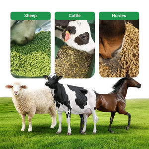 Macchina per Pellet con Motore Diesel CE per Alimentazione di Pollame, Suini e Bovini, Produzione di Mangimi per Polli in Piccole Fattorie - Product Image 6