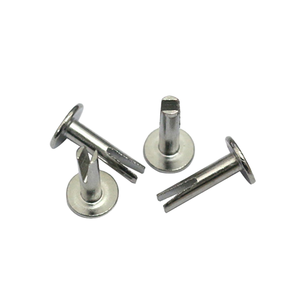Remache Ovalado de Aluminio ANSI/ASME B 18.7 de Alta Calidad, Suministro de Fábrica, Clase 8.8 - Product Image 1