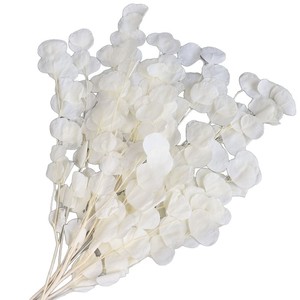 Flores Blancas Preservadas al <span class=keywords><strong>por</strong></span> <span class=keywords><strong>Mayor</strong></span>, Materiales Naturales Secos de Larga Duración para Arreglos de Boda, San Valentín y Decoración del Hogar - Product Image 6
